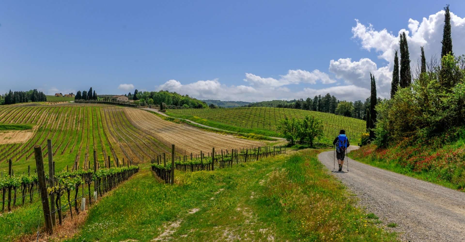 via-francigena