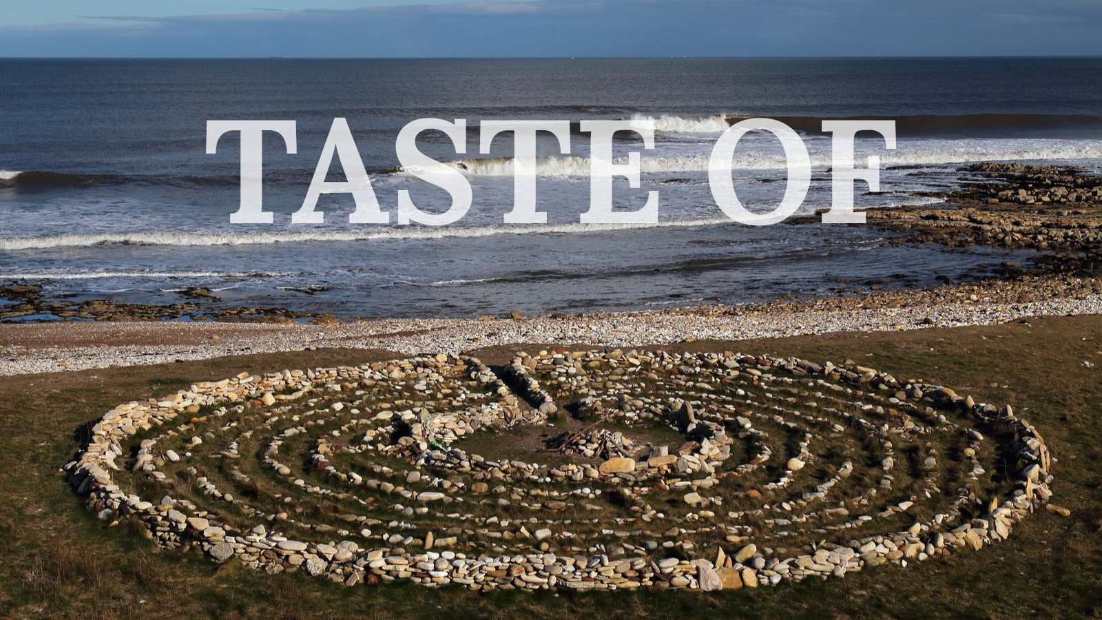 TASTE OF
